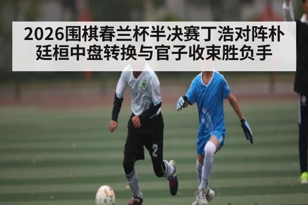 2026围棋春兰杯半决赛丁浩对阵朴廷桓中盘转换与官子收束胜负手